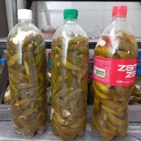 خیارشور بطری امسالی|خوردنی و آشامیدنی|شیروان (خراسان), |دیوار