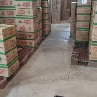 کارگرانبار