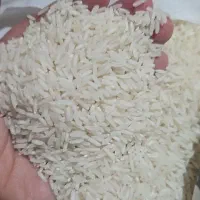 برنج هاشمی و طارم محلب|خوردنی و آشامیدنی|تهران, نیروی هوایی (پیروزی)|دیوار