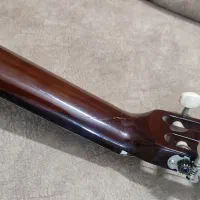 گیتار c40|گیتار، بیس، امپلیفایر|ملارد, |دیوار