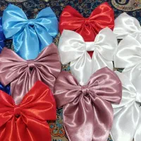 گیره پاپیونی