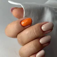 ورکشاپ یک روزه رفع اشکال