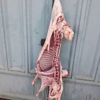 گوسفند فروشی سیار قصابی رایگان|حیوانات مزرعه|اهواز, شریعتی جنوبی|دیوار