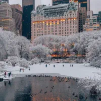 صدور انواع بیمه نامه.آنلاین و 24 ساعته،نقد و اقساط