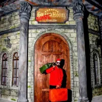 رزو تفریحات گردشگری(اقتصادی)|تور و چارتر|کیش, |دیوار