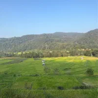 فروش زمین ویوابدی درلوکیشنی فوق العاده/منطقه لفور