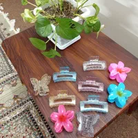 فروش انواع کش مو و کلیپس و وسایل اریشگاه|زیورآلات و اکسسوری|فلاورجان, |دیوار