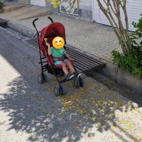 کالسکه mother care