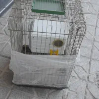 قفس بزرگ و کوچک