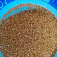 قوره وگلاب وخاکشیر تازه