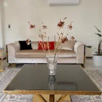 فروش مبلمان و اثاثیه در حد نو|مبلمان خانگی و میز عسلی|شیراز, زرگری|دیوار