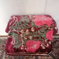 وسایل شخصی نوودرحدنو|اسباب و اثاث بچه|کرمان, |دیوار