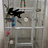 قفس بزرگ