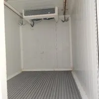 نیسان مدل95 دوگانه کارخانه یخچالدار زیرصفر|خودرو سواری و وانت|کرمان, |دیوار