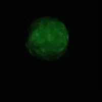 سنگ اسیاب|کلکسیون اشیاء عتیقه|کرمانشاه, |دیوار