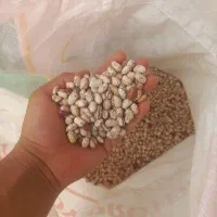 لوبیا چیتی|خوردنی و آشامیدنی|محمدیه-قزوین, |دیوار