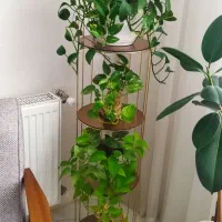 استند ۴طبقه