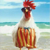 استخدام کارگر مرغداری