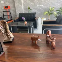 استخدام نیروی خانم