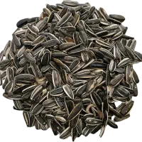 تخمه خام ایرانی