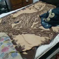 یک عدد هم تختخواب چوبی دونفره هم بفروش می رسد