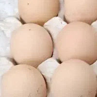 تخم مرغ محلی