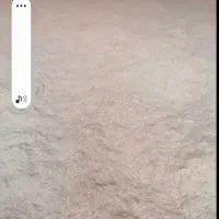 سلام کاه گندم