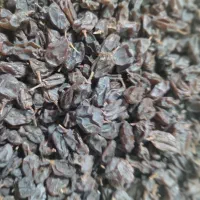 فروش کشمش آفتابی بدون هسته عسکری|خوردنی و آشامیدنی|شیراز, تاچارا|دیوار