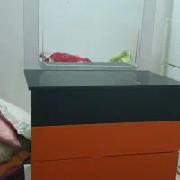 ست نوجوان،اسپرت.فروش‌ بعلت جابجایی|تخت و سرویس خواب|شاهرود, |دیوار