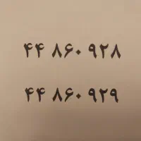 فروش خط ثابت تلفن- محله پونک