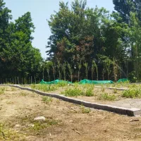 زمین پلاک ریز ساحلی