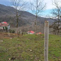 زمین مسکونی با پروانه در دل جنگل|فروش زمین و ملک کلنگی|سیاهکل, |دیوار