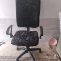 صندلی گردون|صندلی و نیمکت|سبزوار, هویزه|دیوار