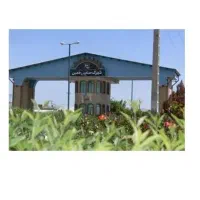تعدادی نیروی خانم و آقا
