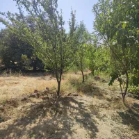 باغ بسیار زیبا 55کیلومتری ساوه به همدان|فروش زمین و ملک کلنگی|نوبران, |دیوار