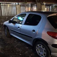 206 نقره ای|خودرو سواری و وانت|رشت, کاکتوس|دیوار