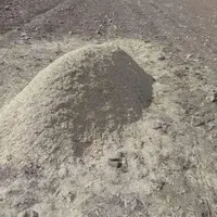 فروش نهاده کاه باگاس نیشکر مقوی|لوازم جانبی حیوانات|رفسنجان, |دیوار