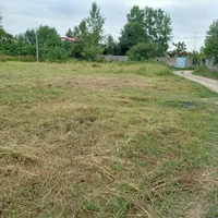 خدمات علف زنی چمن|خدمات باغبانی و درختکاری|شفت, |دیوار