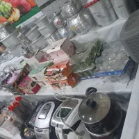 پلاسکو و روحی