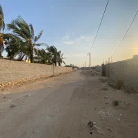 زمین مسکونی خونه باغ|فروش زمین و ملک کلنگی|دلوار, |دیوار