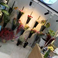 گل گیاه|گل و گیاه طبیعی|سبزوار, کاشفی شمالی (دادگستری)|دیوار