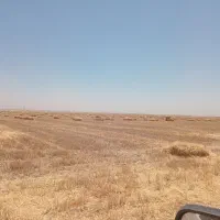 سرگلش درجه یک گندم غنی شده با اسید هیومیک،امینه و.
