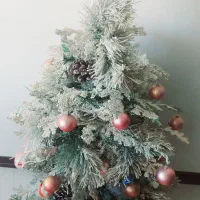 درخت کاج کریسمس