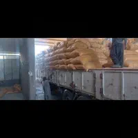 انبار خوراک دام|لوازم جانبی حیوانات|یزد, |دیوار