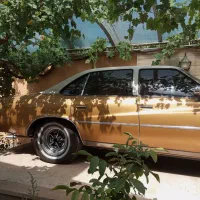 بیوک سنچوری مدل ۱۹۷۵|خودرو کلاسیک|تهران, ارم|دیوار