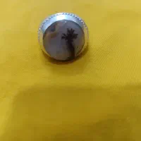 انگشتر شجر نخل گرمی ۳۲۰ت