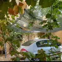 ۲۰۰ متر مستغلات شهرک غرب|فروش زمین و ملک کلنگی|تهران, درختی|دیوار