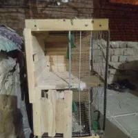 قفس جفتگاه