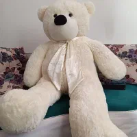 خرس سفیدو بزرگ 1/20