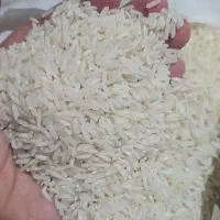 برنج هاشمی درجه یک مستقیم از کشاورز|خوردنی و آشامیدنی|تهران, زنجان جنوبی|دیوار